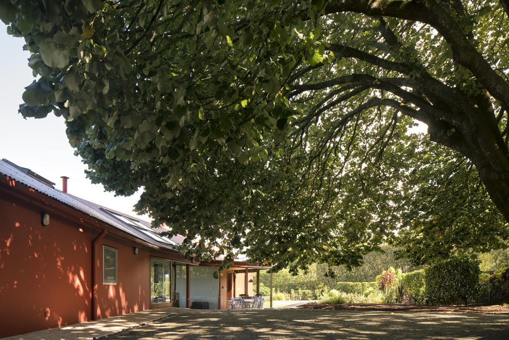 Quinta Da Tilia Boutique Retreat Guest House Capelas Exterior foto